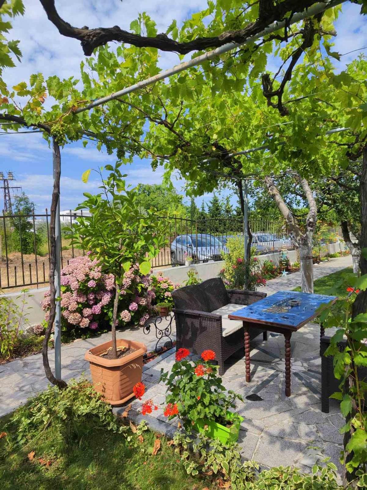 Morska Zvezda Guest House تشيرنوموريتس المظهر الخارجي الصورة